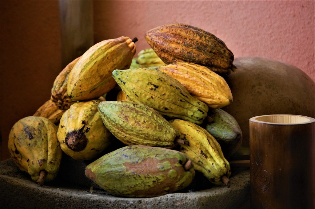 cacao, exportación, Perú, chocolate