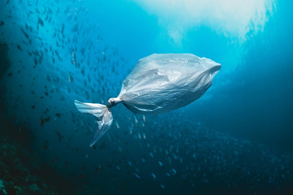 plásticos biodegradables, contaminación, bolsas de plástico, Ley 30884 