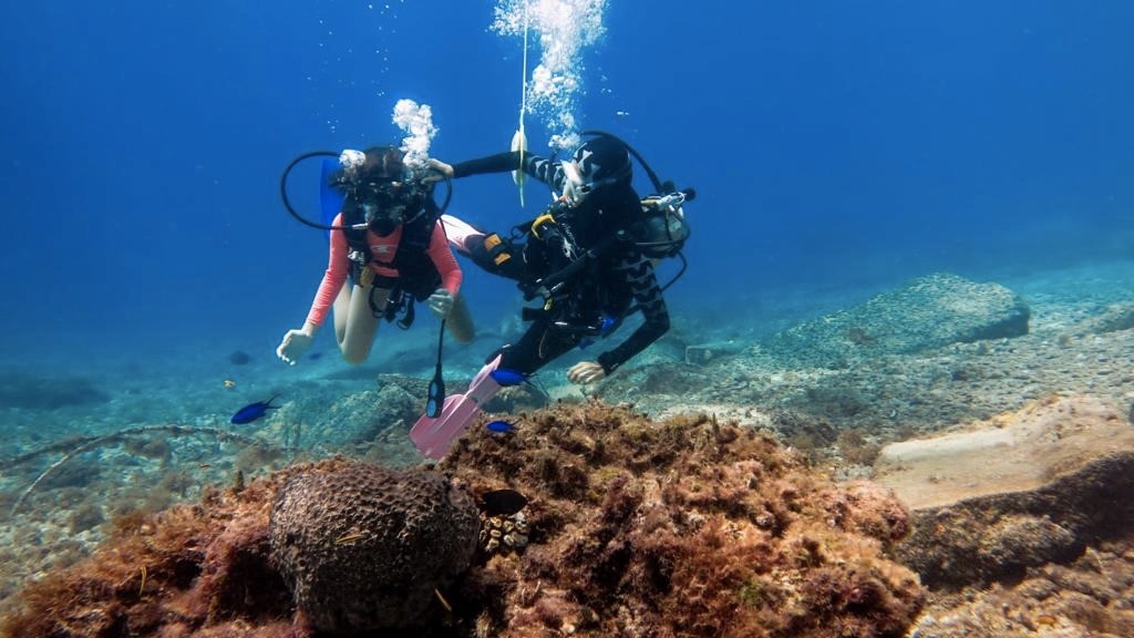 Alejandro Balaguer hace un llamado de alerta sobre la extinción de los corales en el Golfo de Montijo